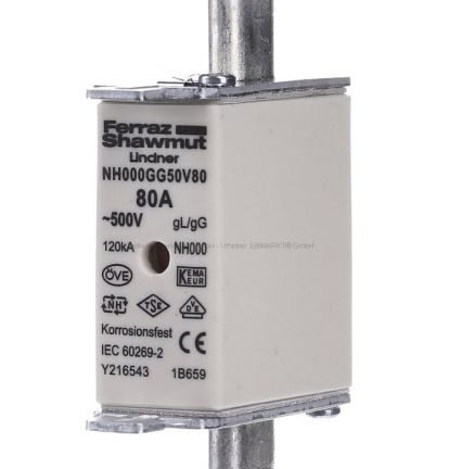 Cầu Chì Hạ Thế NH00GG50V100